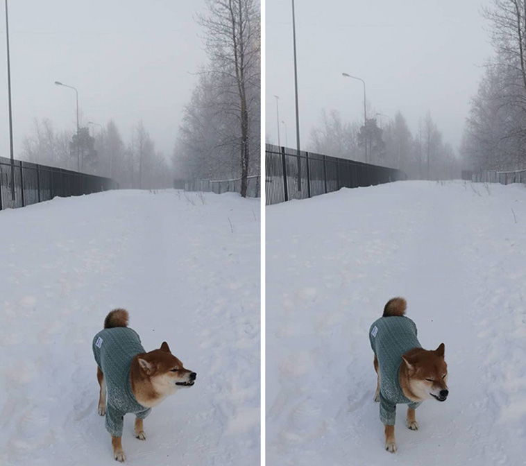cold winter