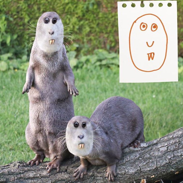 drawings real life things