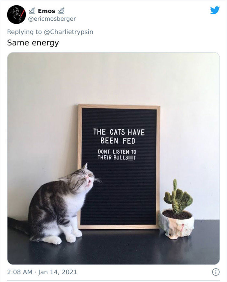 cat notes warnings