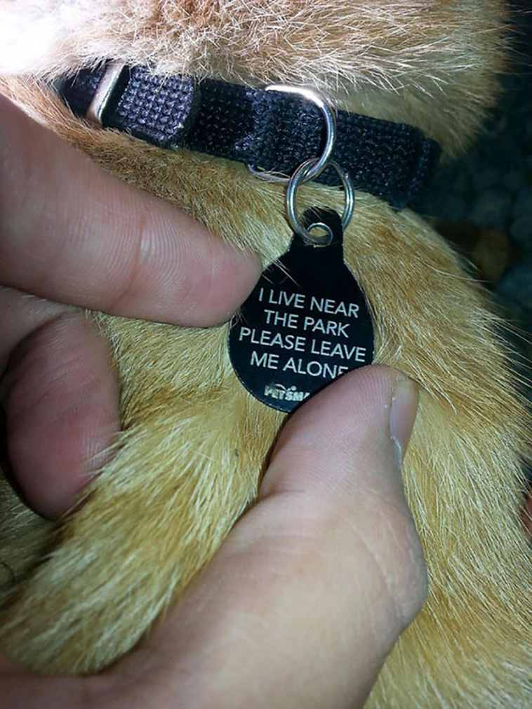 cat notes warnings