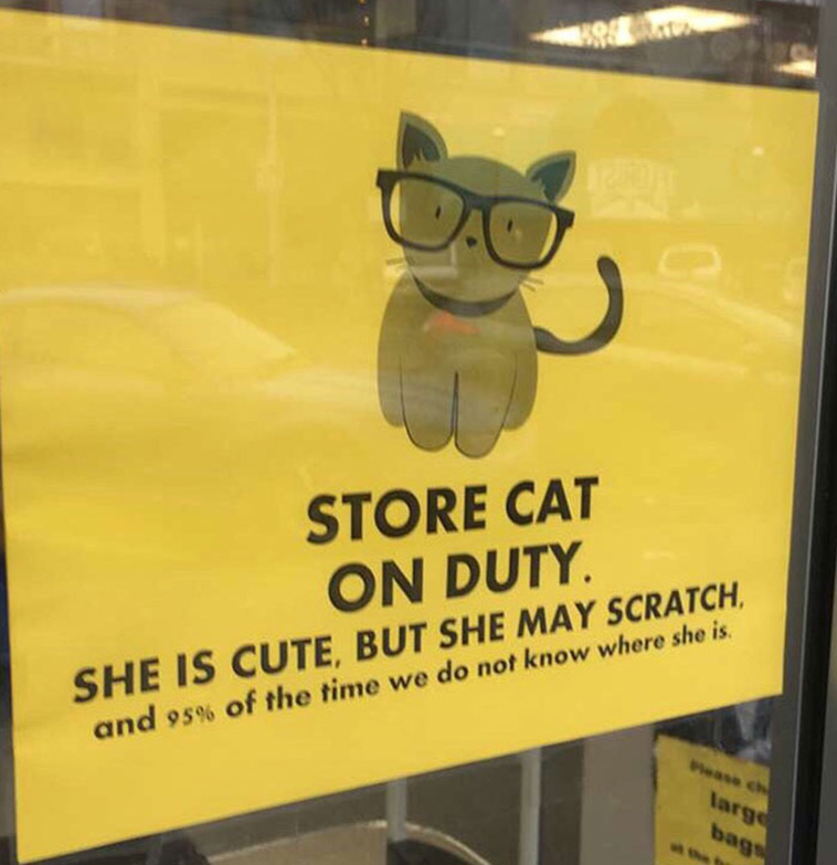 cat notes warnings
