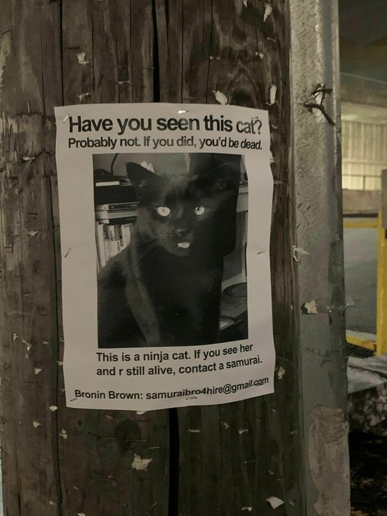cat notes warnings