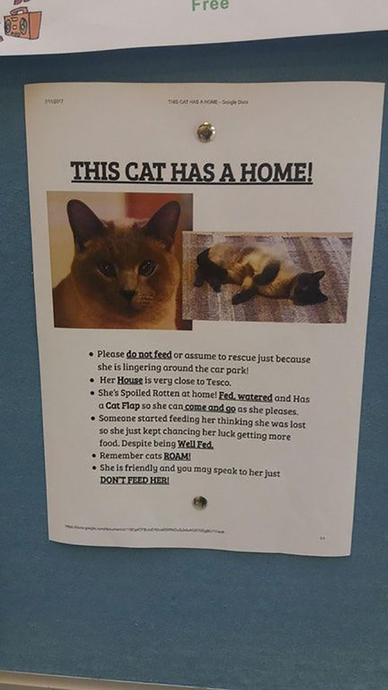 cat notes warnings