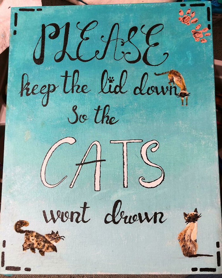 cat notes warnings