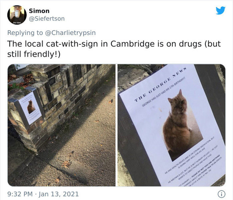 cat notes warnings