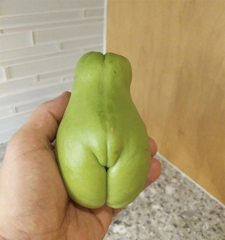 funny photos