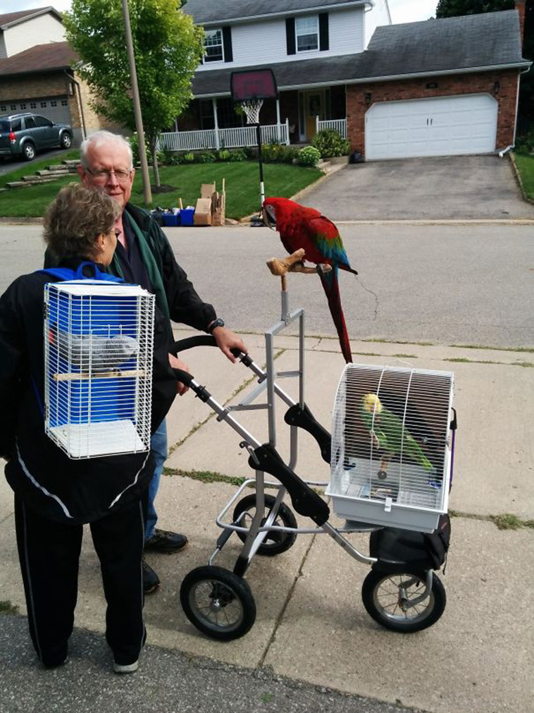weird neighbors