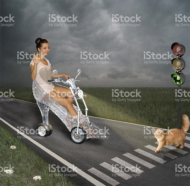 funny stock photos