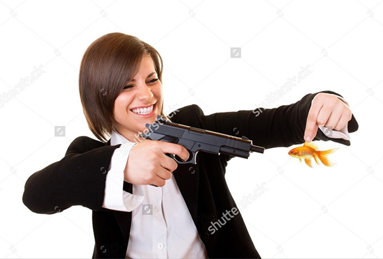 funny stock photos