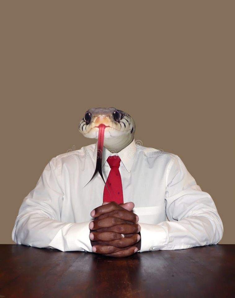 funny stock photos