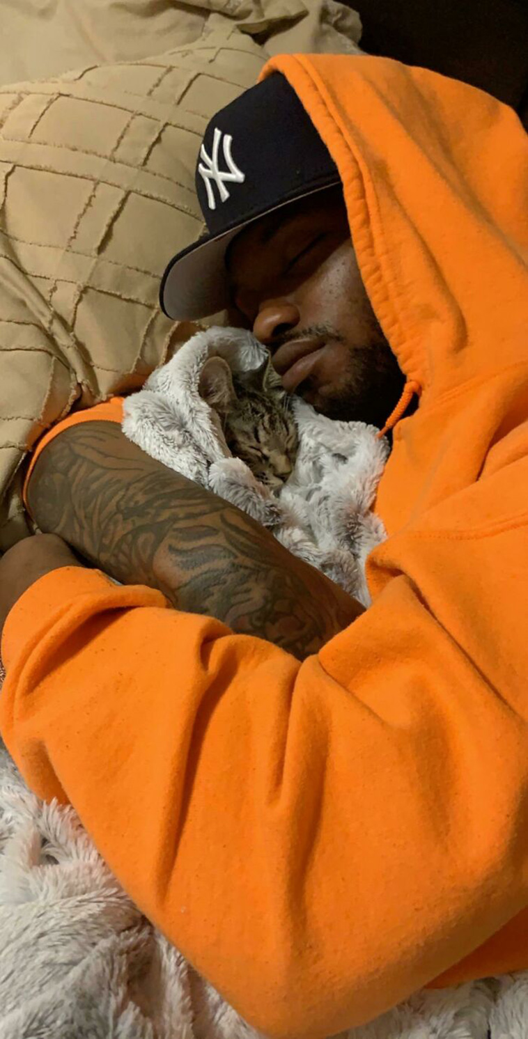 cute cats