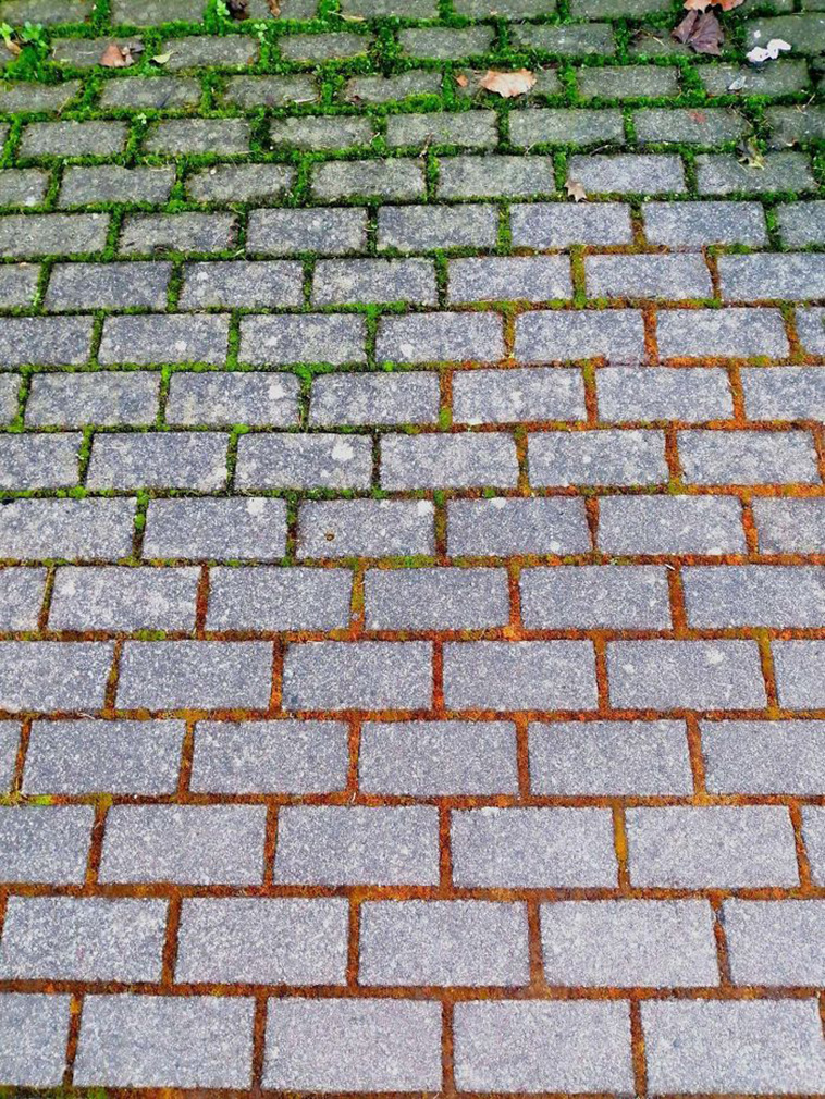 mildly interesting nature