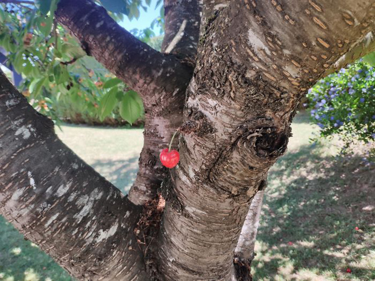 mildly interesting nature