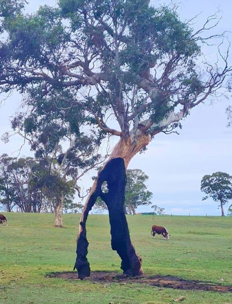 mildly interesting nature