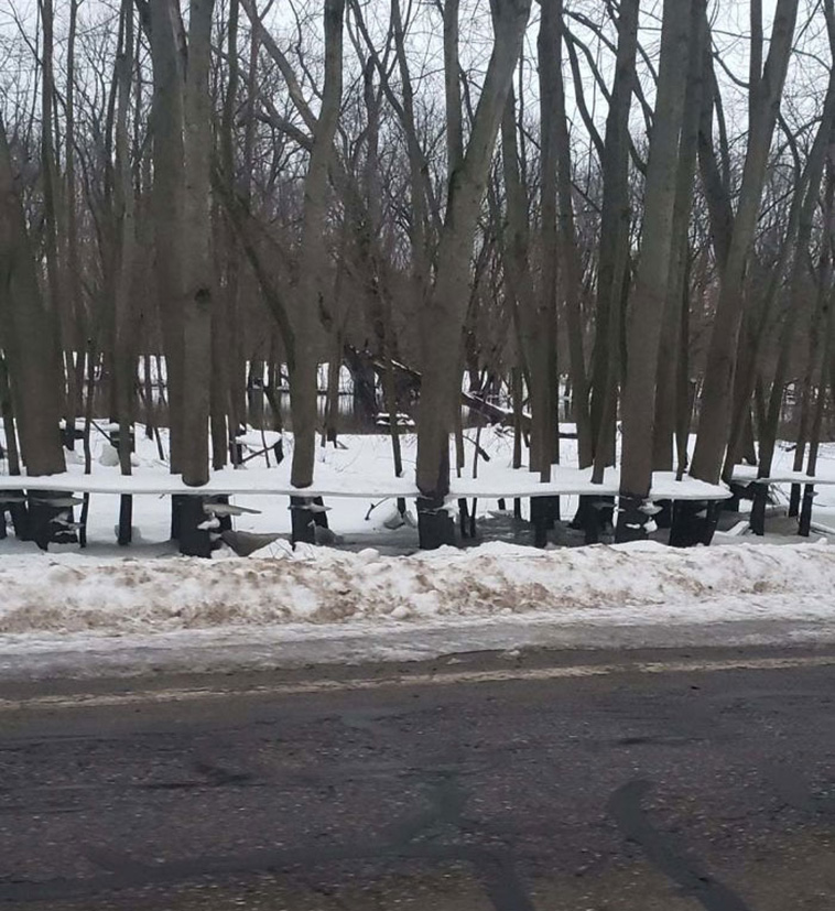 mildly interesting nature