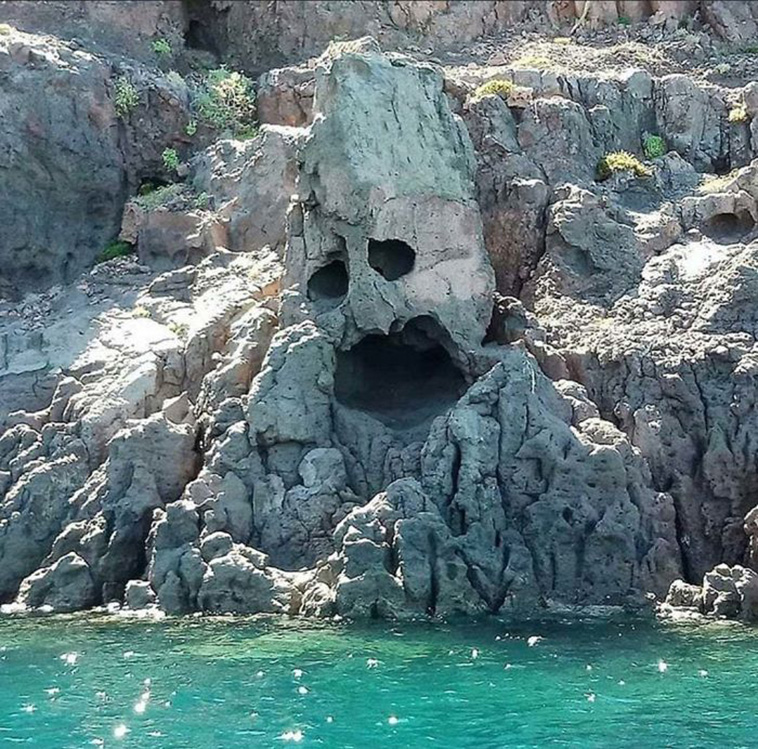 mildly interesting nature