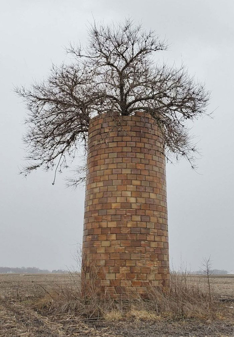 mildly interesting nature