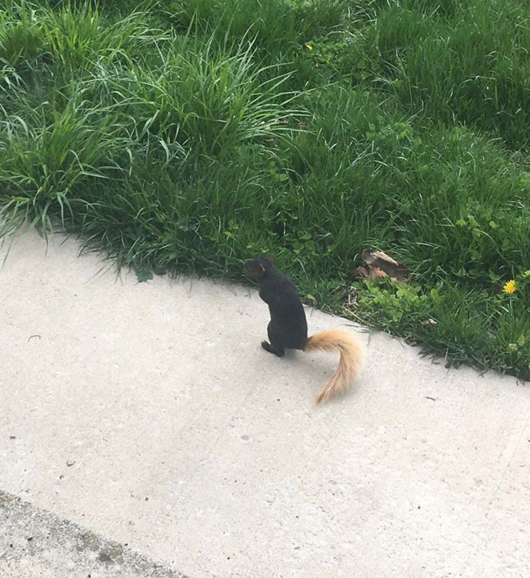 mildly interesting nature