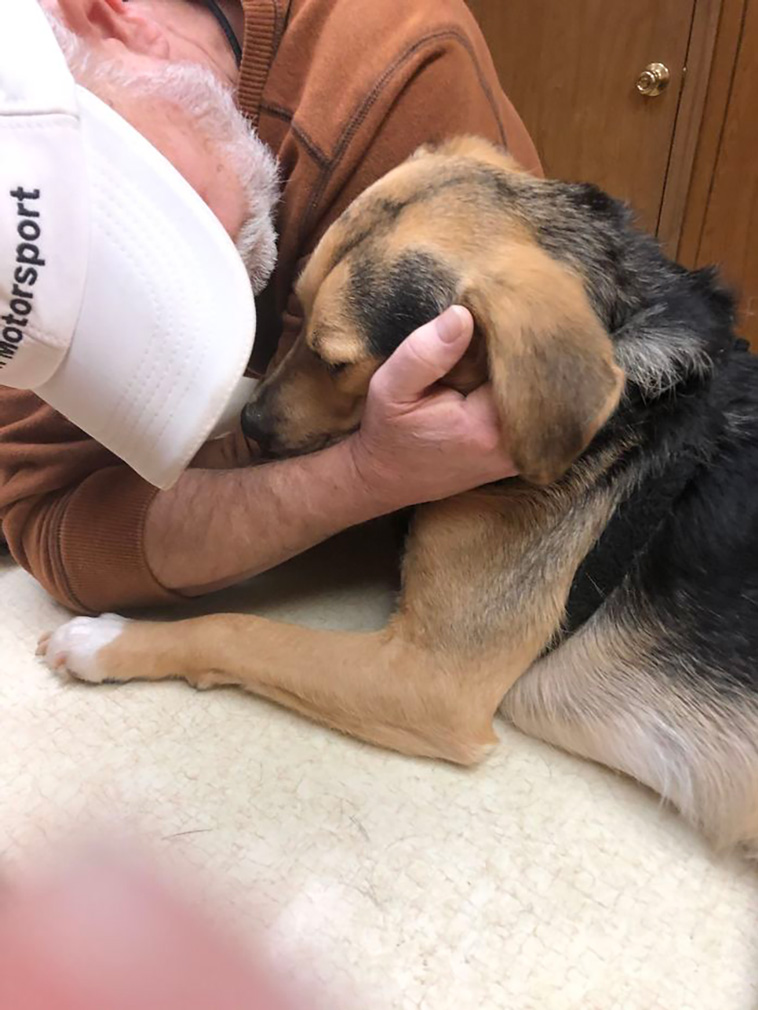 refuse pets