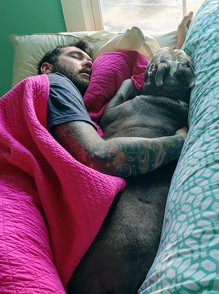 refuse pets