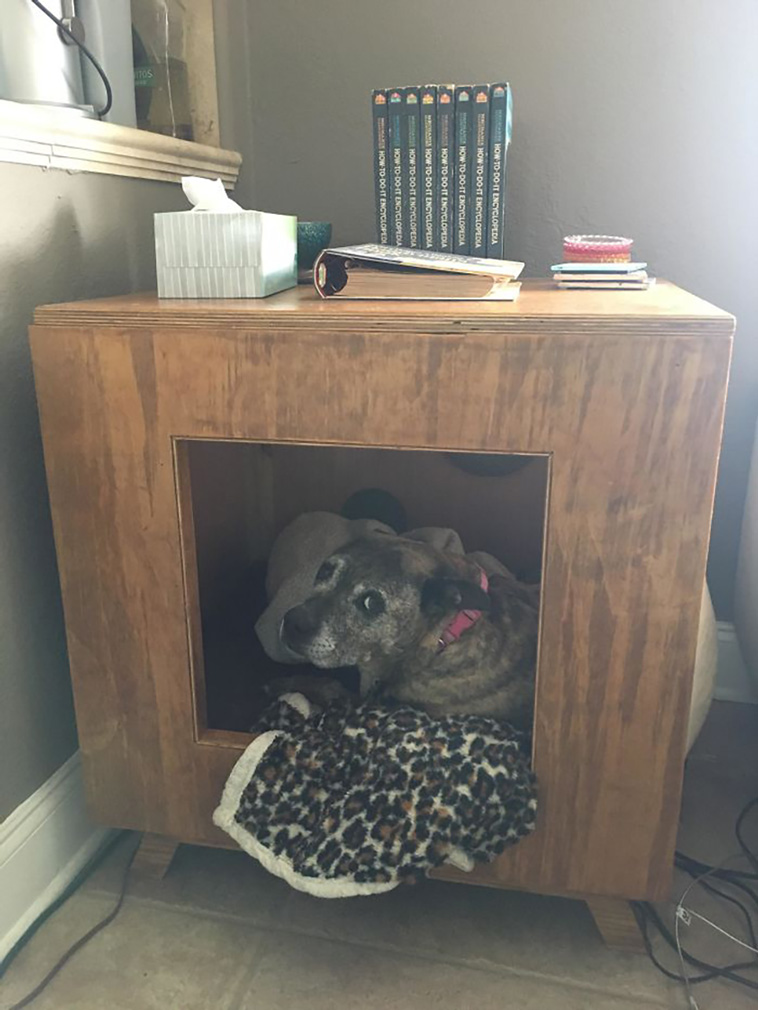 refuse pets