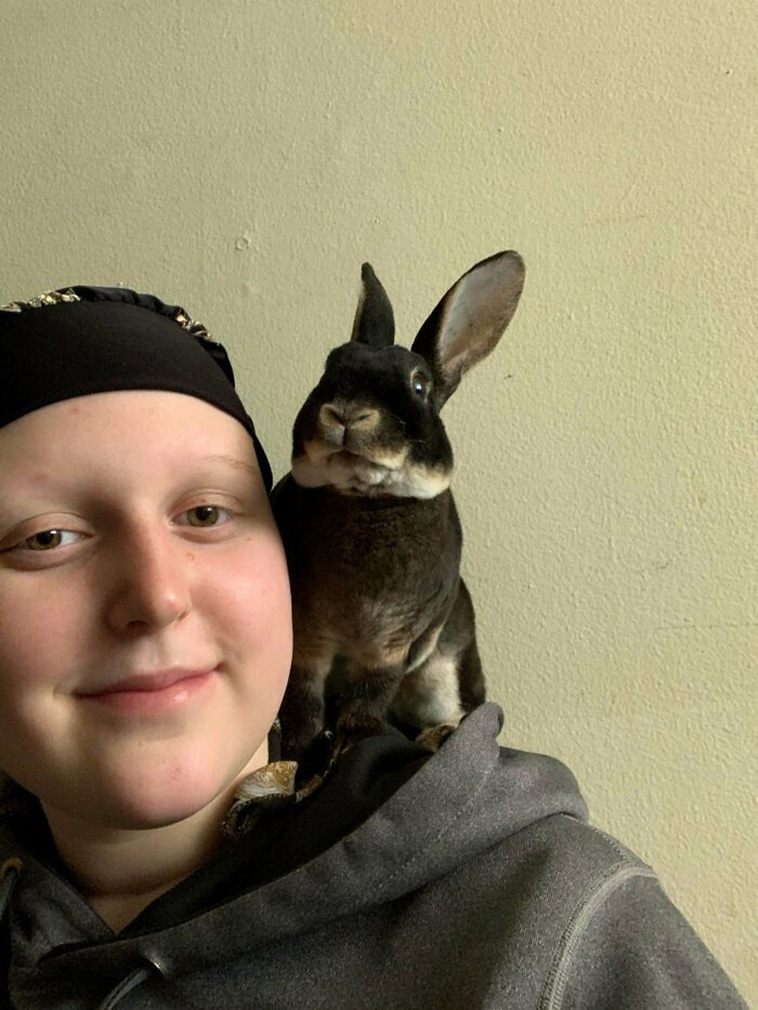 shoulder pets