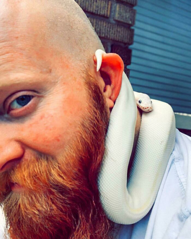 shoulder pets