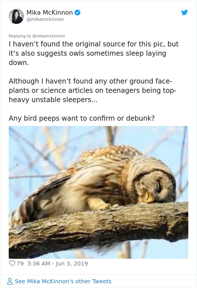 sleeping owls