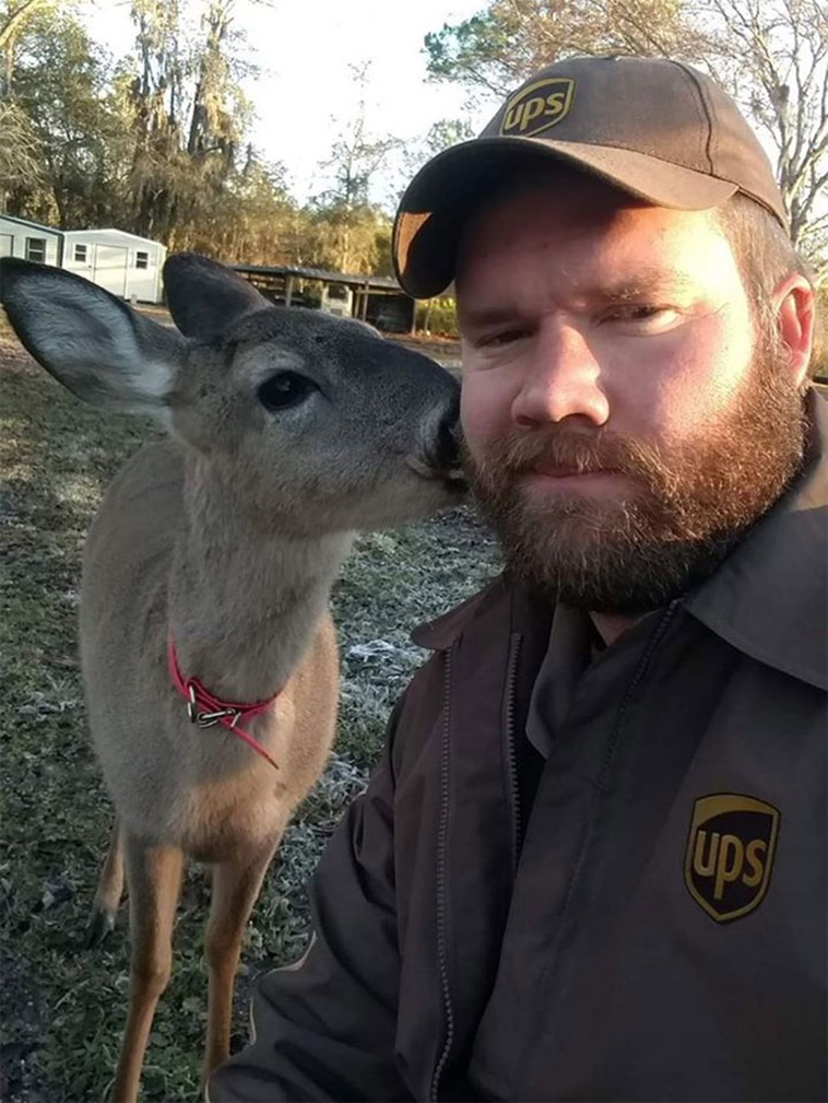 ups drivers with pets