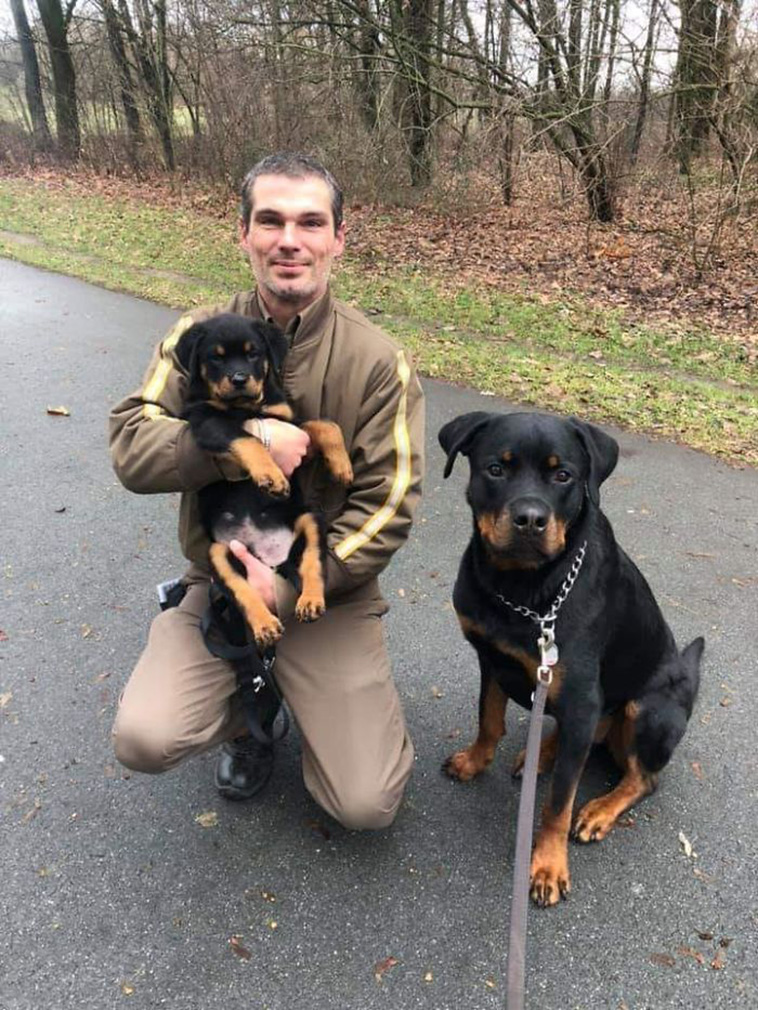 ups with pets