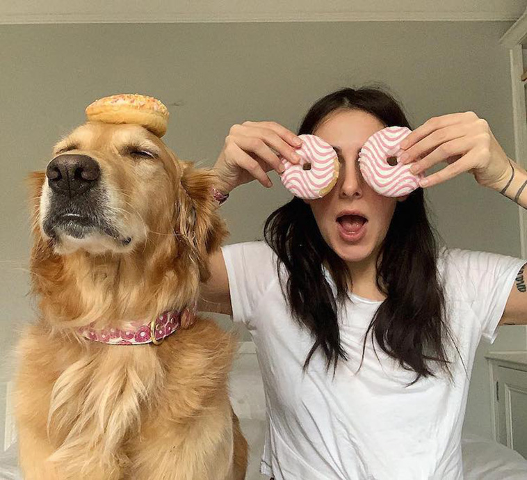 golden retriever photos