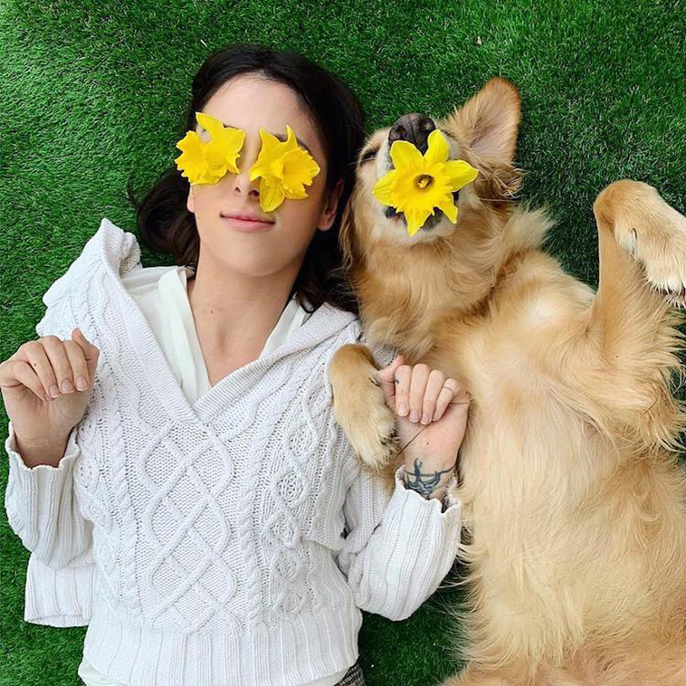 golden retriever photos