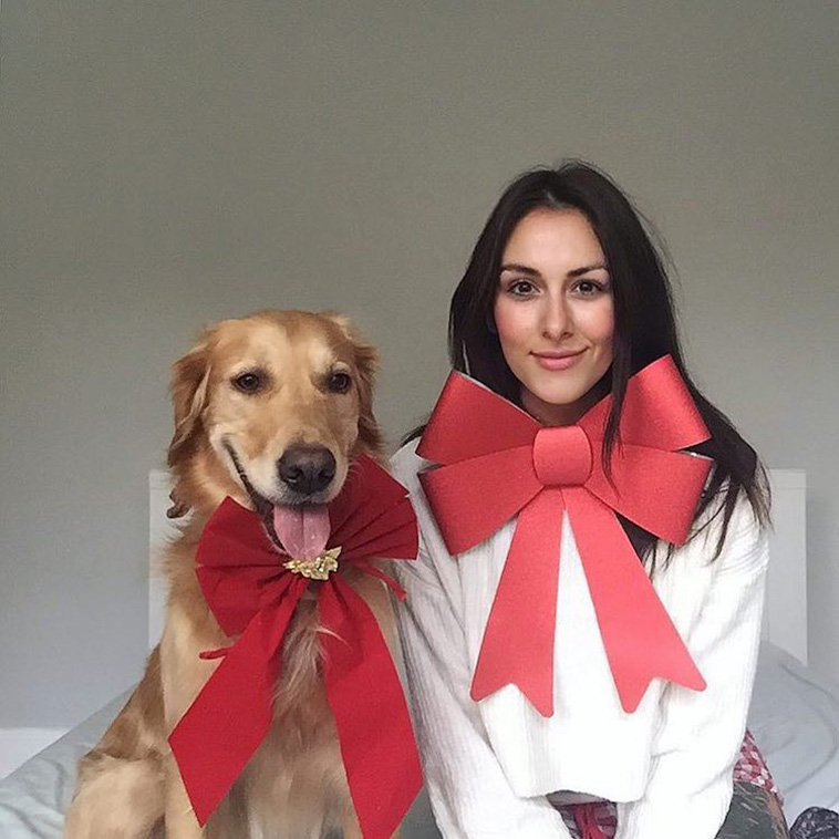 golden retriever photos