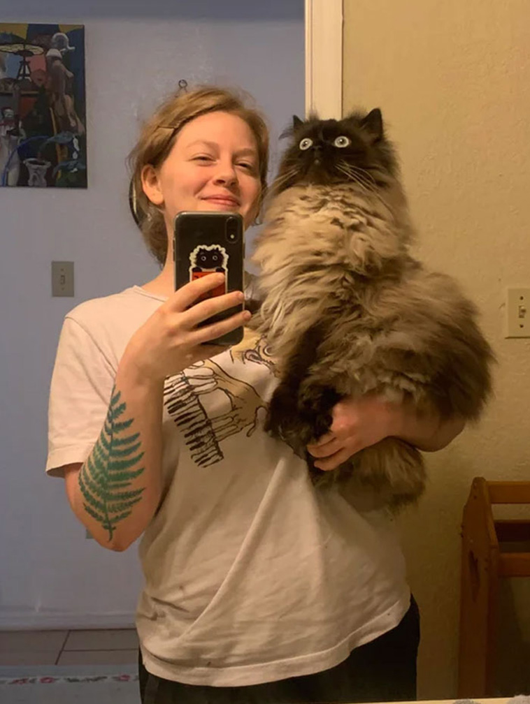 whats wrong with your cat