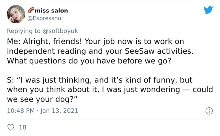 zoom students questions