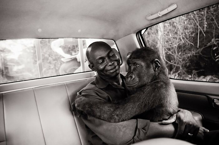 act like humans