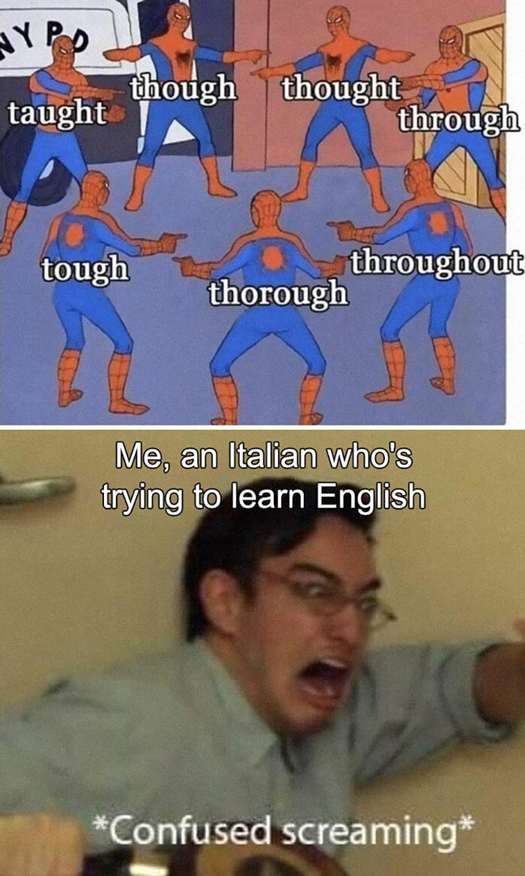 amusing memes