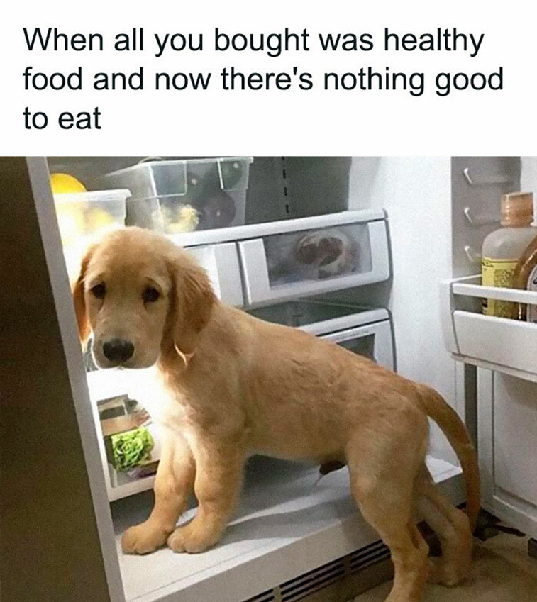 amusing memes