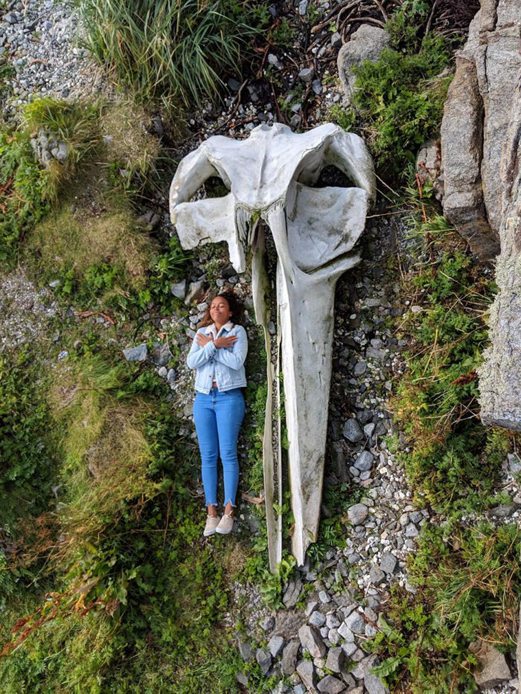 animal size comparison