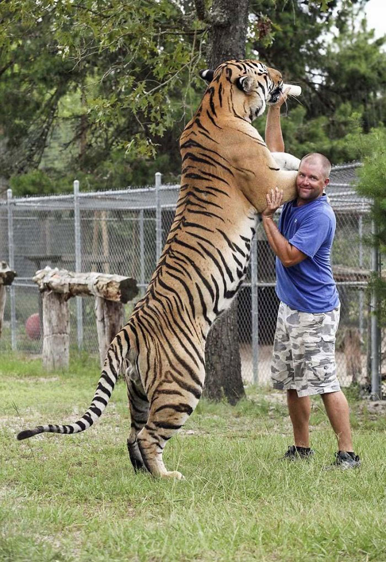 animal size comparison