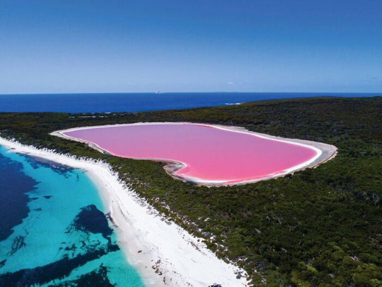 australia weird things