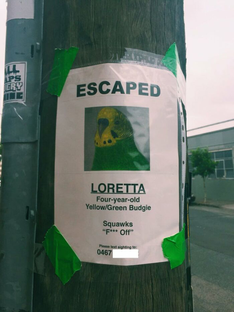 australia weird things