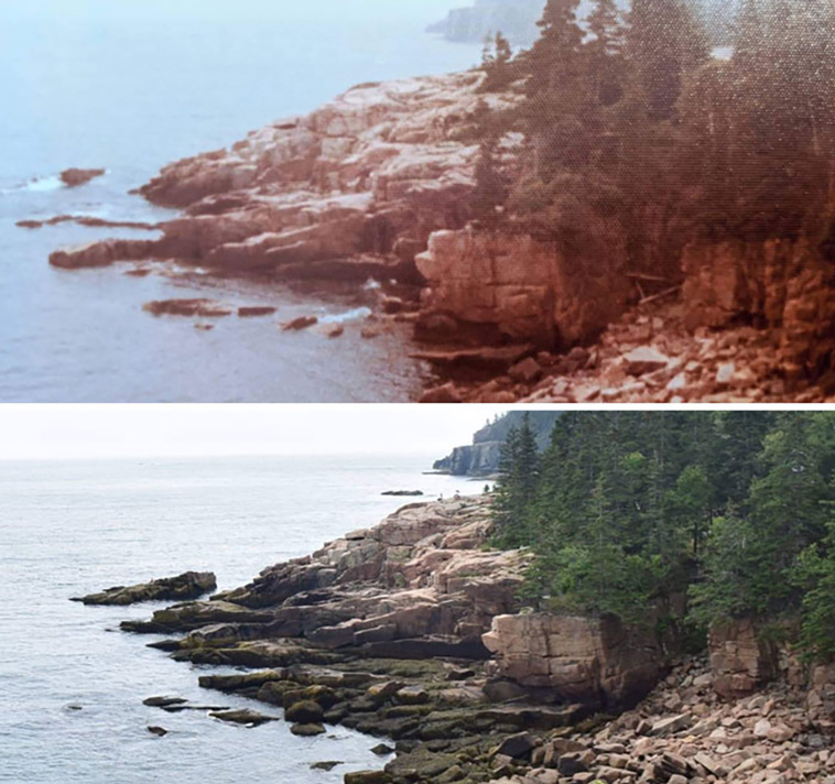 comparison images