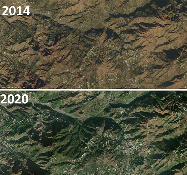 comparison images
