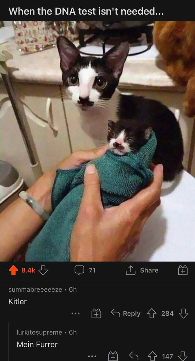 Cursed Comments