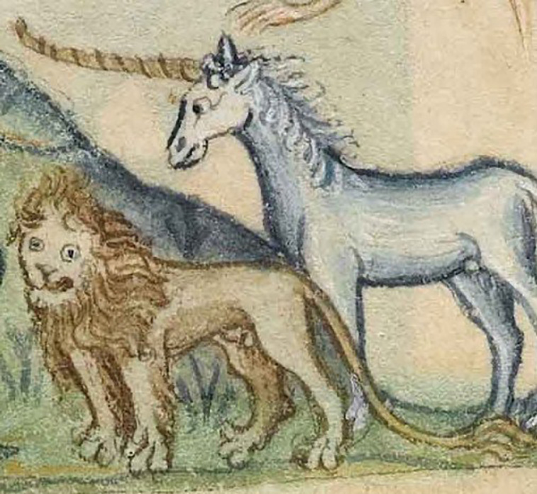 drawing lions