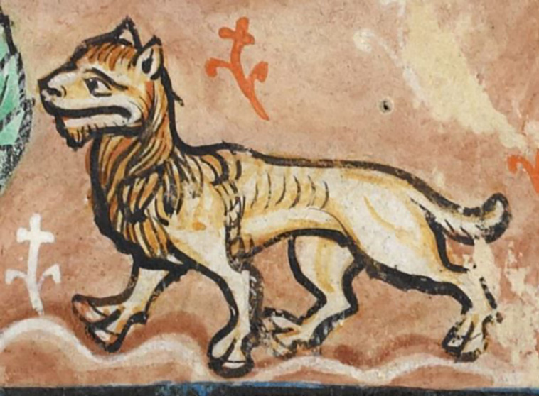 drawing lions