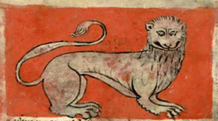drawing lions