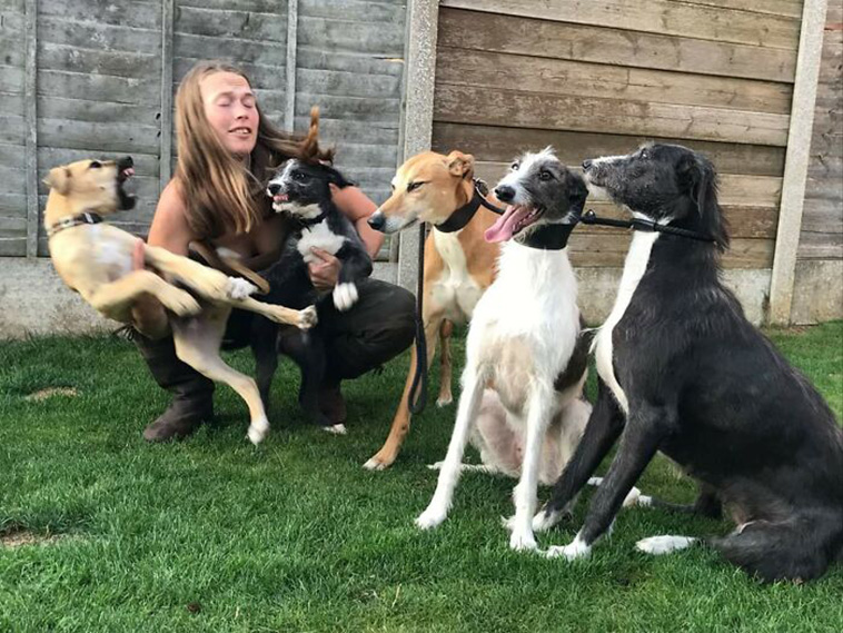 family portrait dogs