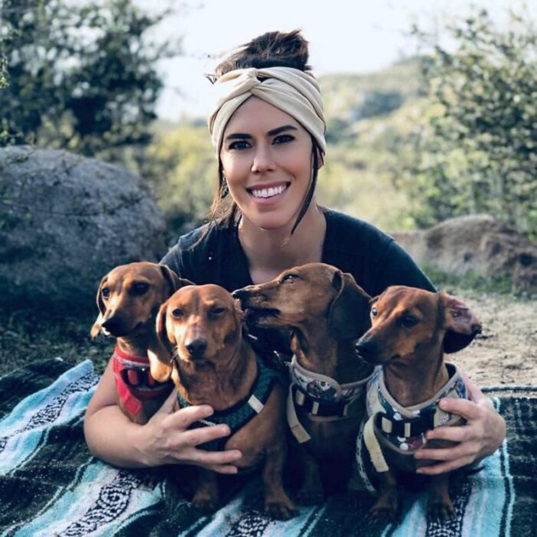 family portrait dogs